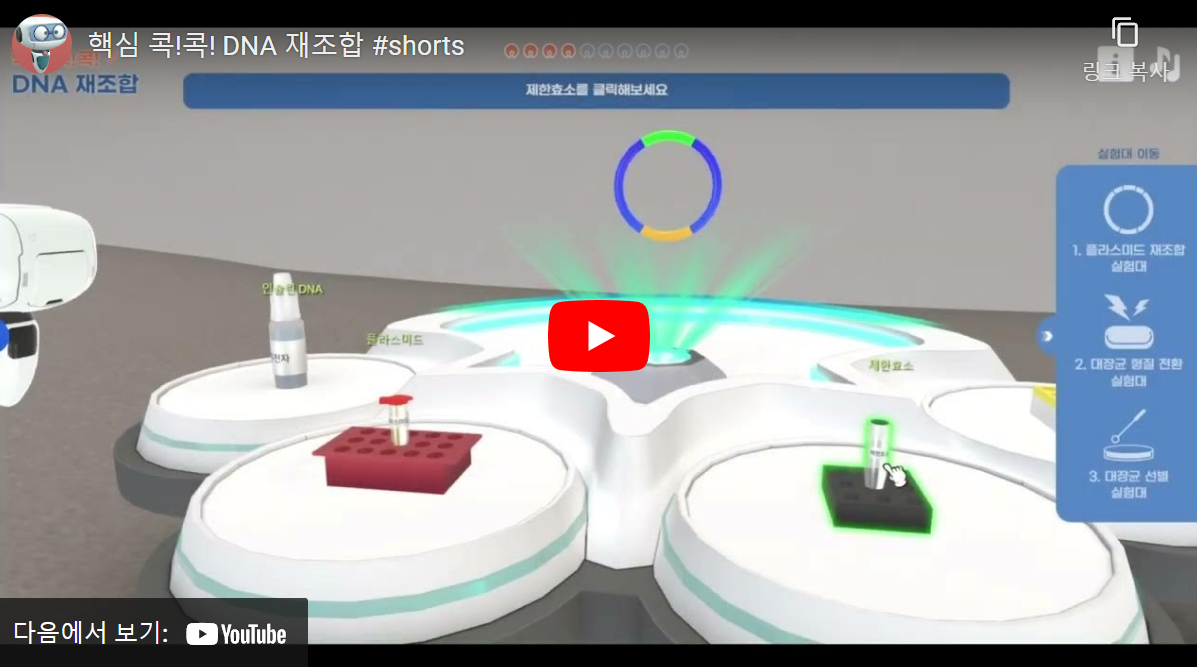 핵심 콕! 콕! DNA 재조합 콘텐츠 맛보기 영상